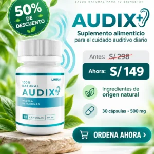 Audix